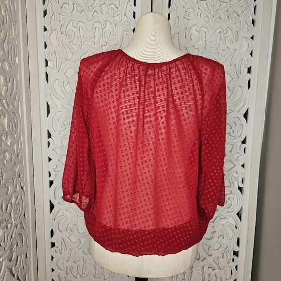 LOFT Red Sheer Swiss Dot Long Sleeve Blouse Size L - Picture 5 of 11